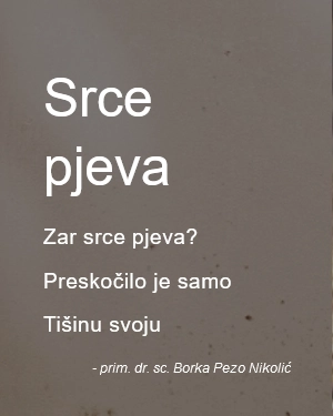 srce pjeva.webp